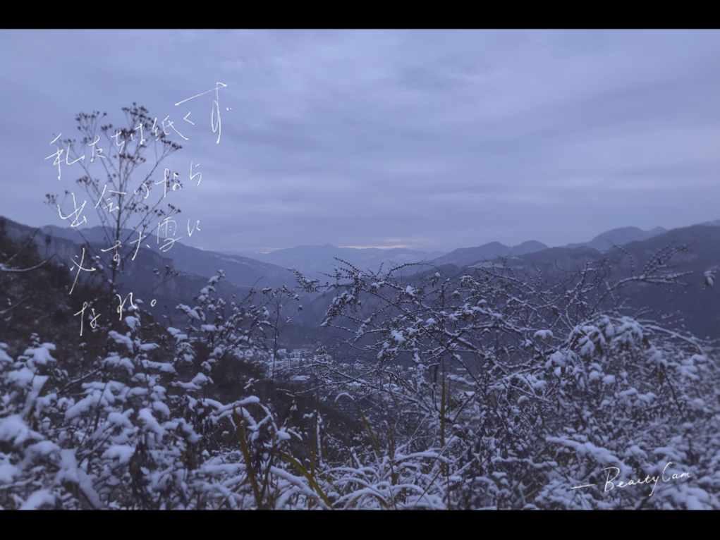 逃离亚洲丛林